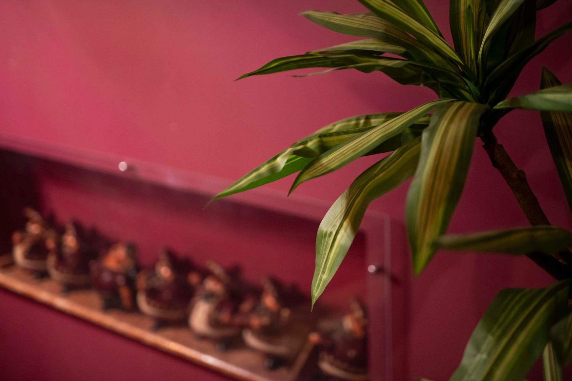 B&B Benny San Marco Evangelista 외부 사진